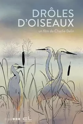 av在线直接看